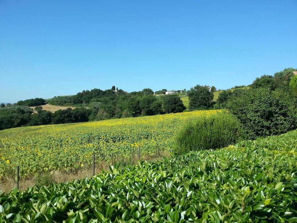 Вілла Il Borghetto Тоді Екстер'єр фото