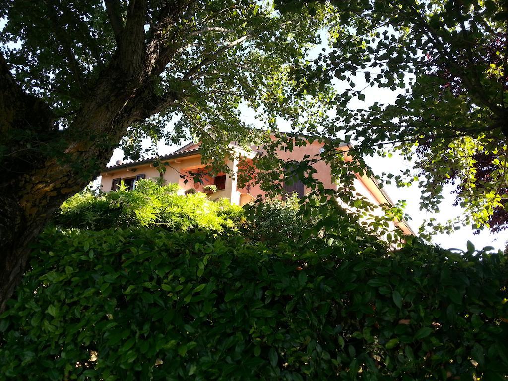 Вілла Il Borghetto Тоді Екстер'єр фото